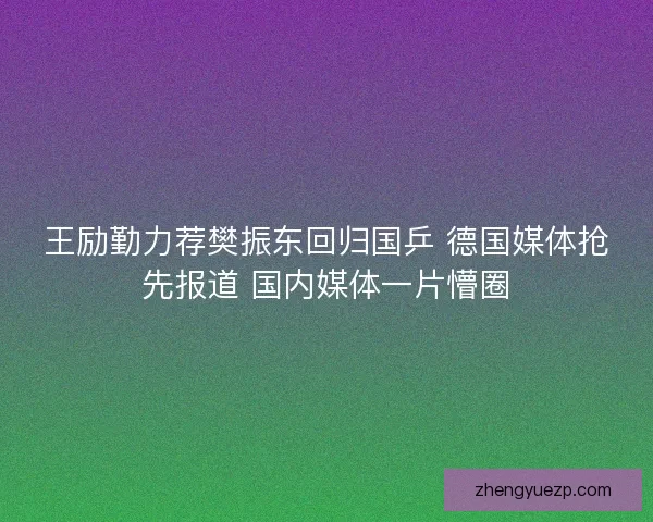 王励勤力荐樊振东回归国乒 德国媒体抢先报道 国内媒体一片懵圈