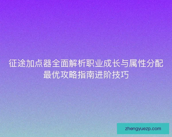 征途加点器全面解析职业成长与属性分配最优攻略指南进阶技巧