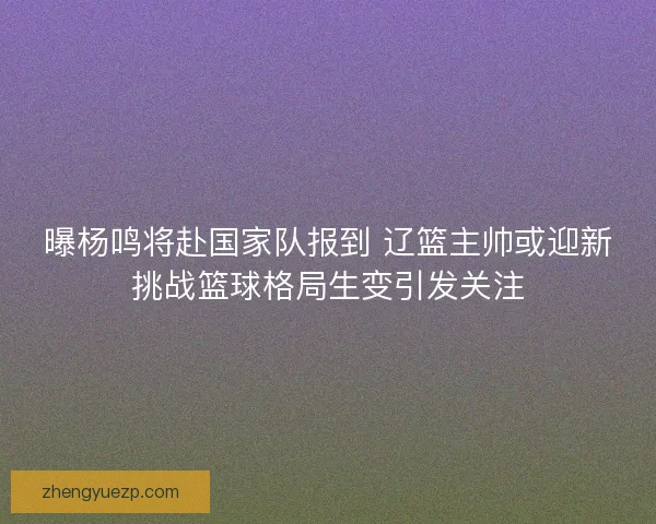 曝杨鸣将赴国家队报到 辽篮主帅或迎新挑战篮球格局生变引发关注