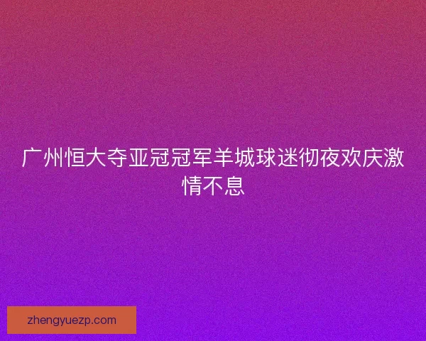 广州恒大夺亚冠冠军羊城球迷彻夜欢庆激情不息 广州恒大夺亚冠冠军羊城球迷彻夜欢庆激情不息